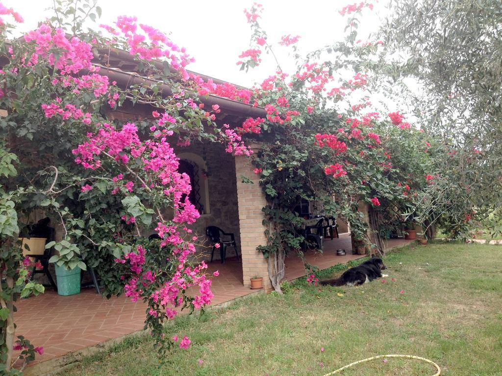 Casa Santina Βίλα Girasole Δωμάτιο φωτογραφία