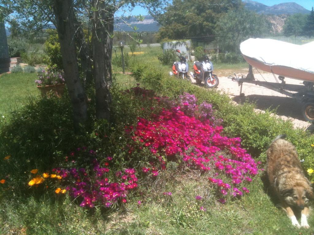 Casa Santina Βίλα Girasole Δωμάτιο φωτογραφία