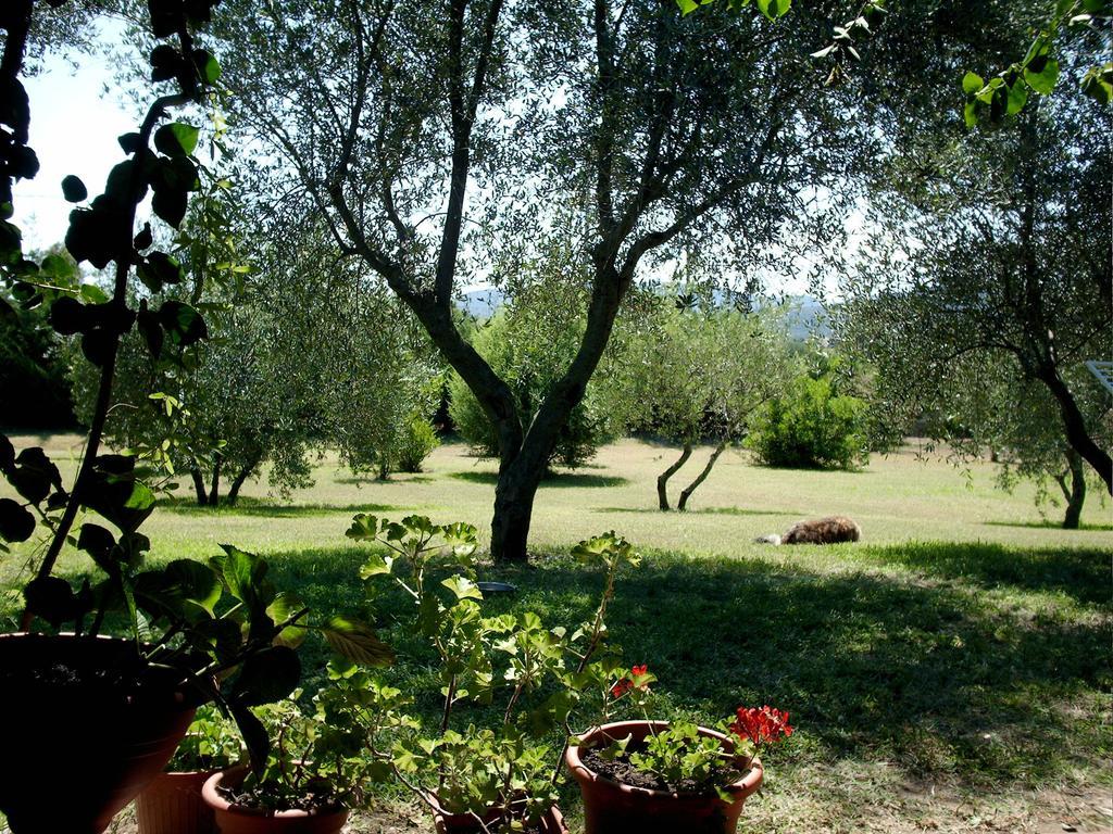 Casa Santina Βίλα Girasole Δωμάτιο φωτογραφία