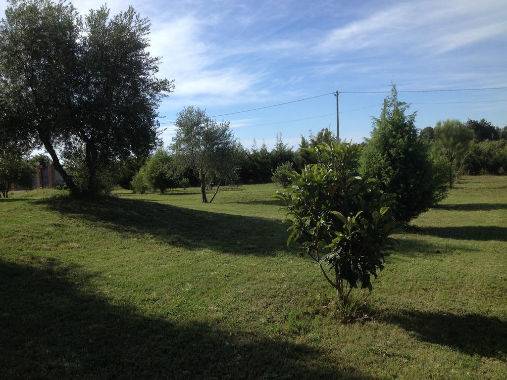 Casa Santina Βίλα Girasole Εξωτερικό φωτογραφία