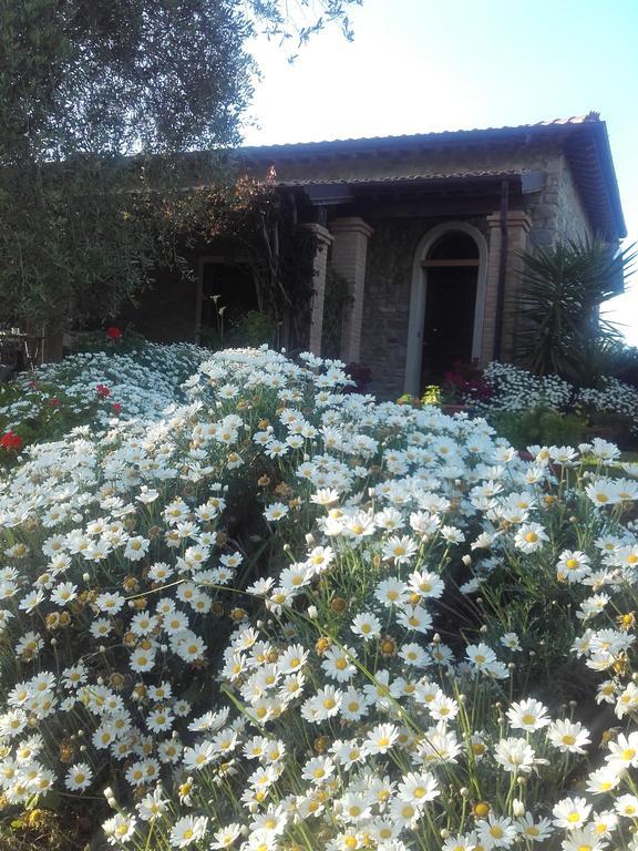 Casa Santina Βίλα Girasole Εξωτερικό φωτογραφία